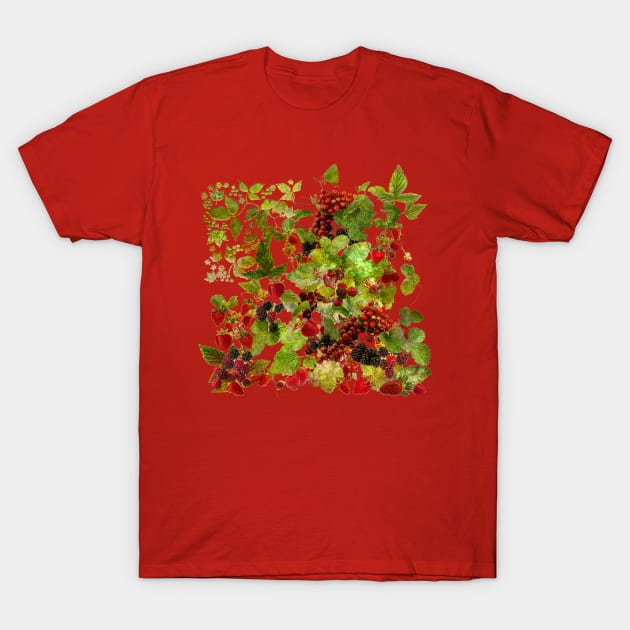 Crispy  Red Berries from Lugano (Centovalli Edition) T-Shirt by PrivateVices